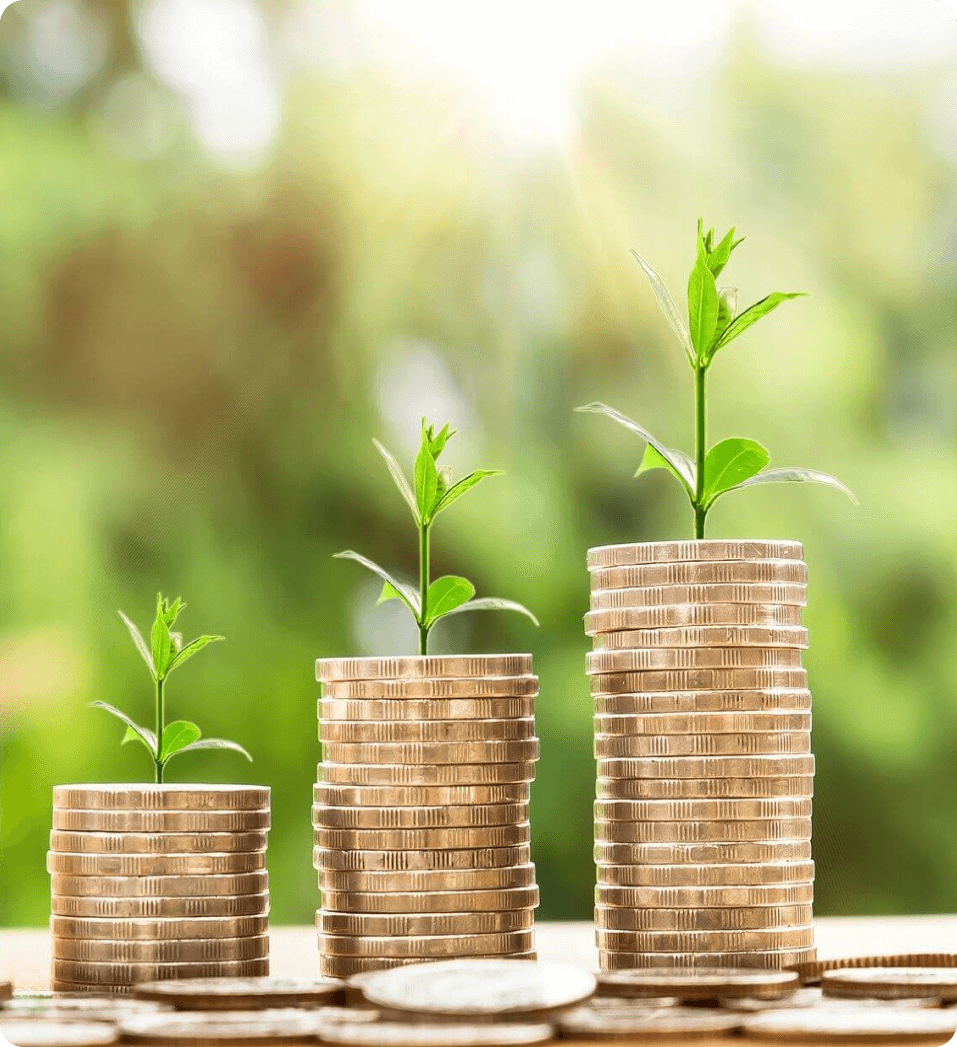 subventions pieces monnaie 1