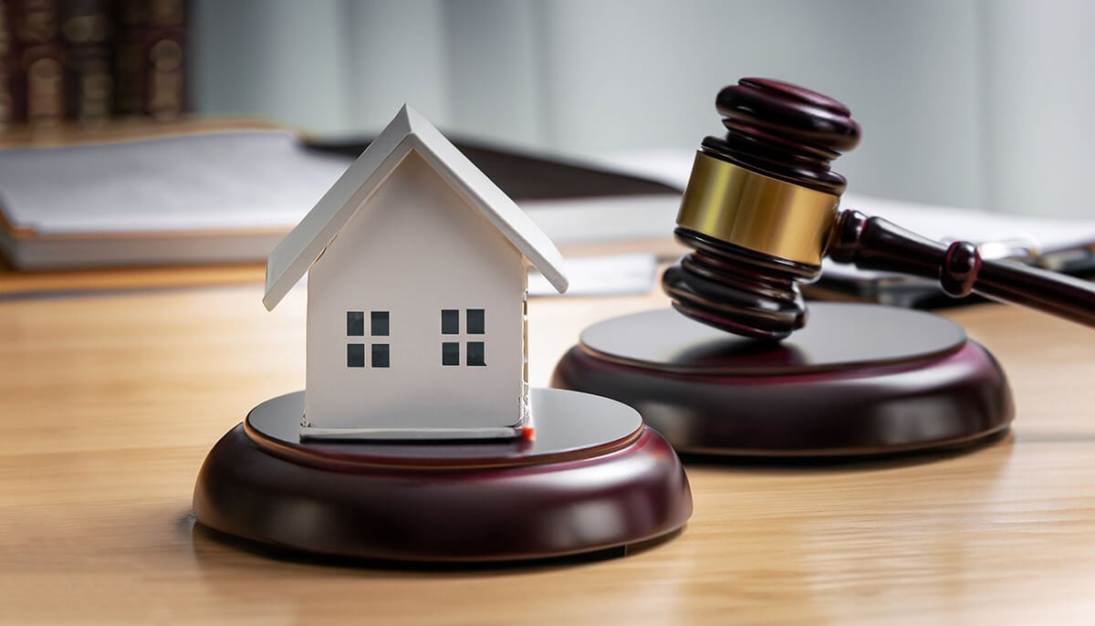 loi 3DS logement social